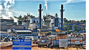 Biomass Cogeneration Facility
