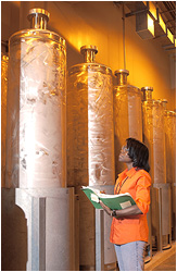 Defense Waste Processing Facility