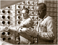 Inspecting fuel elements