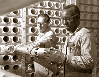 Inspection of fuel elements and storage in 
M Area honeycomb.