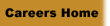 Careers Home link