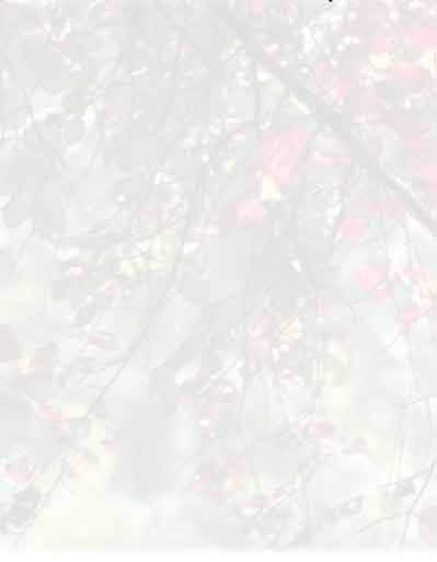 swamp tupelo watermark background
