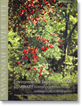 2001 Environmental Report