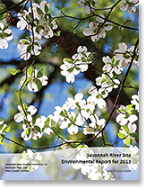 2013 Environmental Report