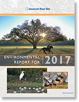 2017 Environmental Report