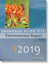 2019 Environmental Report