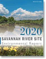 2020 Environmental Report
