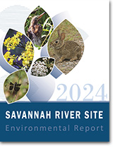 2024 Environmental Report
