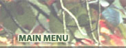 main menu
