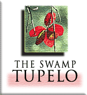red blossom of the swamp tupelo