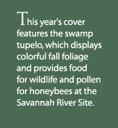 This year's cover features the swamp tupelo, which displays colorful fall foliage and provides food for wildlife and pollen for honeybees at the Savannah River Site